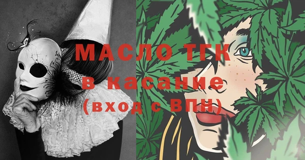 индика Волоколамск