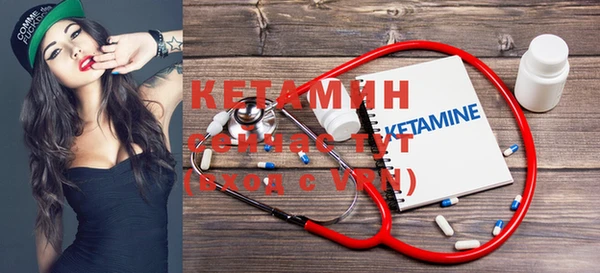 сатива Богданович