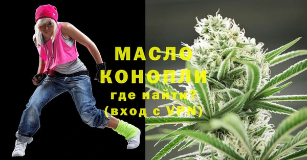 индика Волоколамск