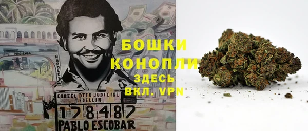 сатива Богданович