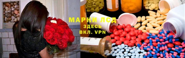 индика Волоколамск